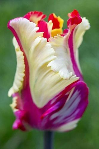 17:34:31 GMT-0600 (CST)