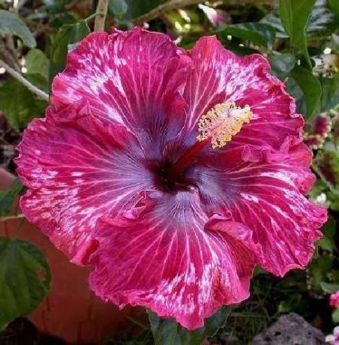 07:43:13 GMT-0600 (CST)