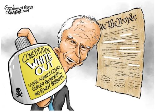 bidenwhiteoutsconstitution
