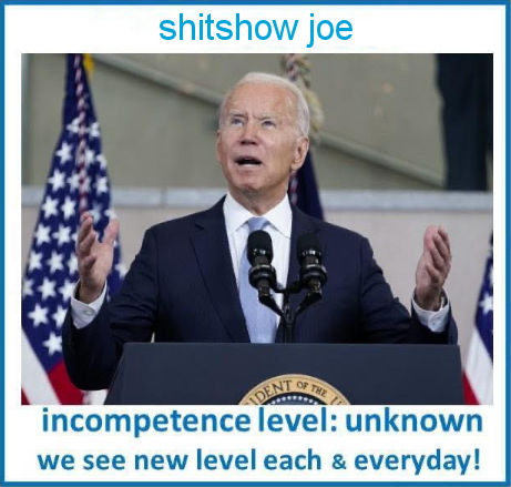 shitshow joe00