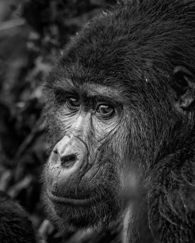 tumblr_7eb38ba2de144b8fe65edbc6c08e2270_2f9119e1_540