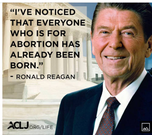 Screenshots_2021-11-16-12-48-25