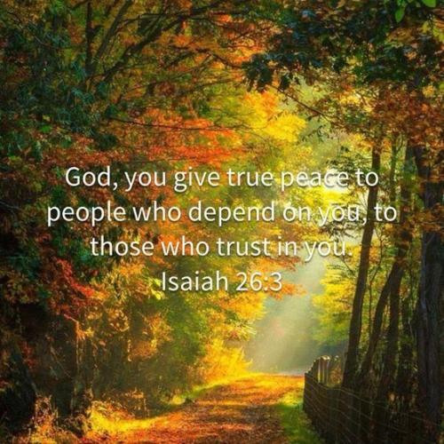 18:11:02 GMT-0600 (CST)