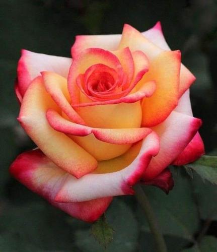 07:21:57 GMT-0500 (CDT)