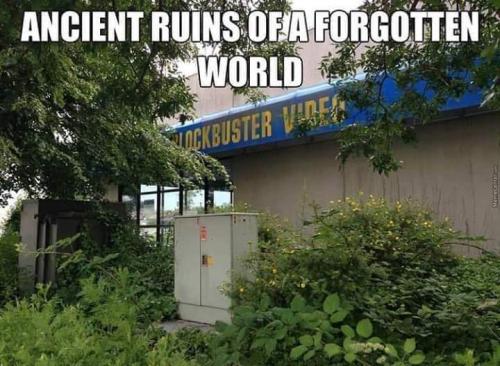 FB_IMG_1636716659572