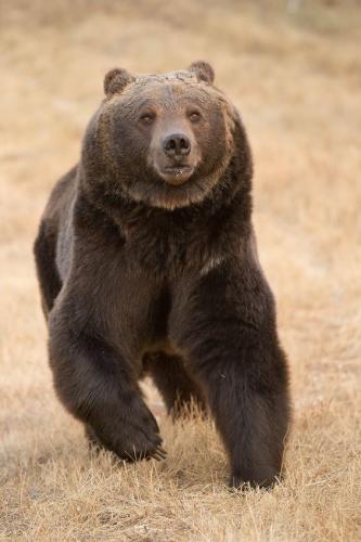 cb3add389407a1e0850e063b9d597387