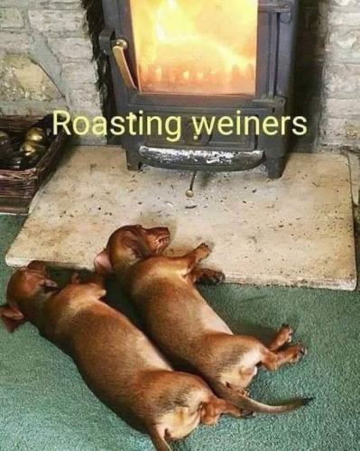 259581409_5163499343679665_3514249374128107555_n