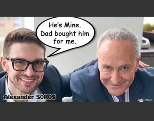 Screenshot_20211102-195437~2