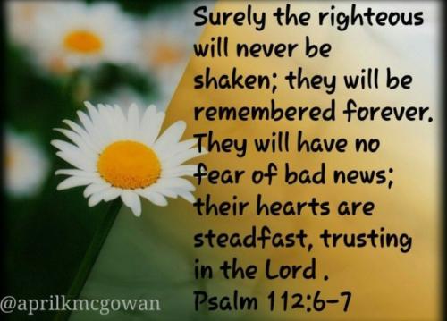 Screenshot_20211113-135257_Photos