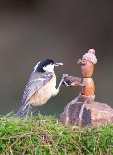 259448265_639956767439051_4077323078926652014_n