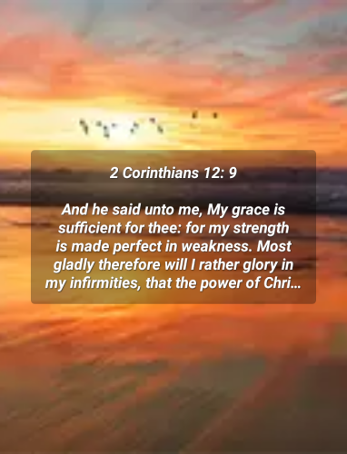 09:54:36 GMT-0800