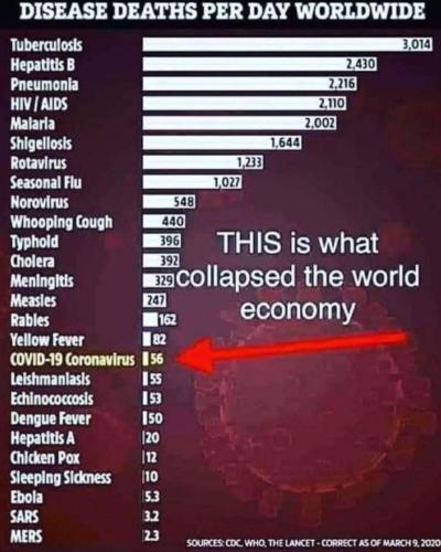 deaths_worldwide_not_covid