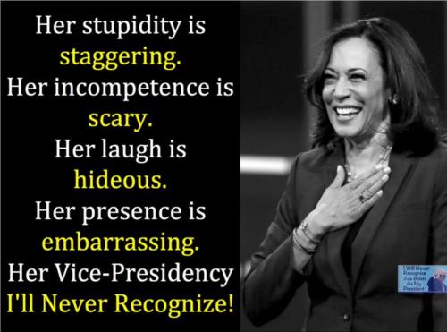 256025079_1773245889731109_6000704169673373957_n