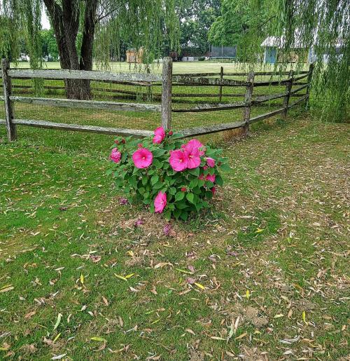 IMG_20210729_131951542~3