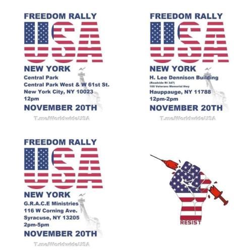 New York State - Nov 20 - Freedom Rally