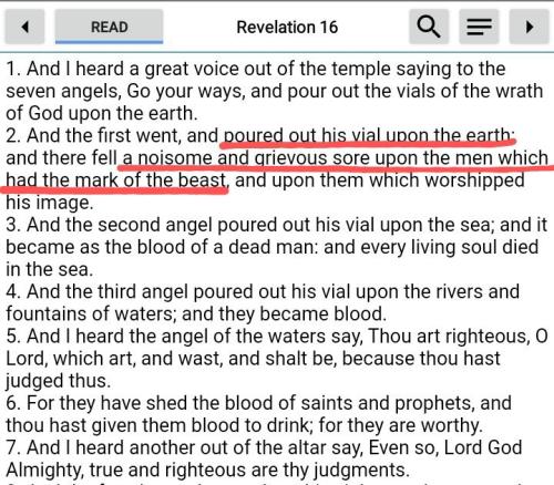 Screenshot_20211112-000949_Bible~5