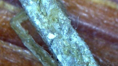 Crazy Nano Rod Node (5)