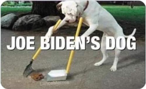 FB_IMG_1636877591813