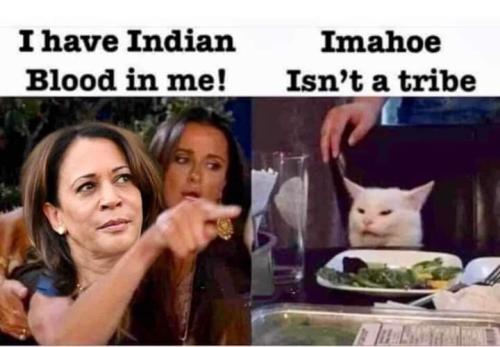 FB_IMG_1636858067950