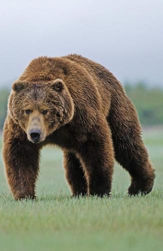 46128647eb79cc460d4bf54d888177b6