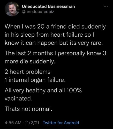 c7b74448dceeba95