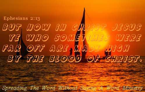 378958_392963730785764_1695190146_n