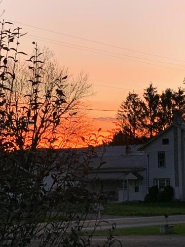 61DA68CE-F2C8-4B00-A8D6-268D25B437ED