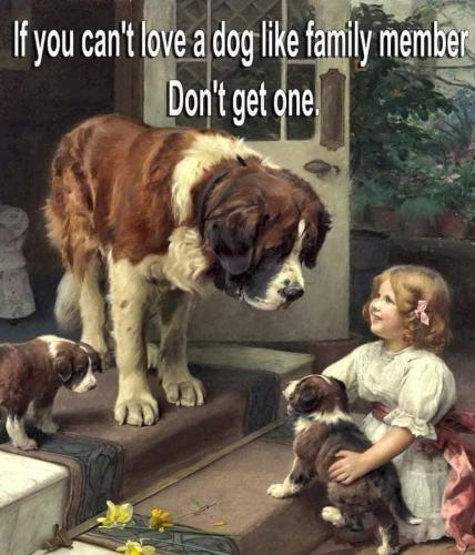 FB_IMG_1637632614846