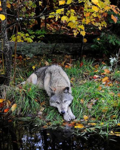 07198e2f7dd7c250652997a7c60090eb