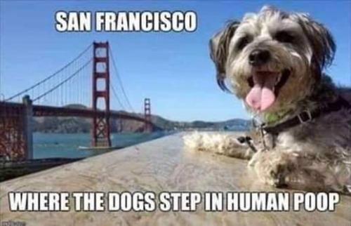 FB_IMG_1636479957709