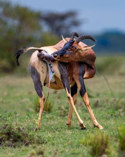 254294784_3037109046536999_4026136240689376619_n