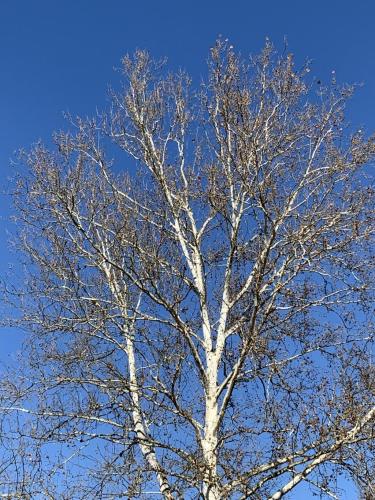 2362B4AB-C60A-4460-88E2-19B6C0E9A503