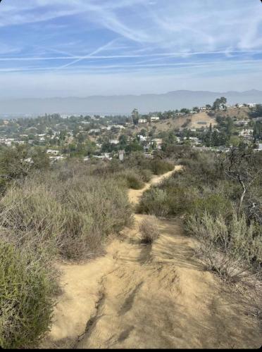 22:38:55 GMT-0600 (CST).image