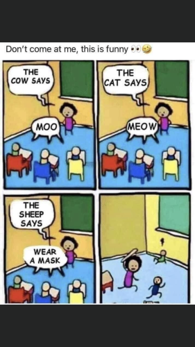 11:20:21 GMT-0500 (EST).image