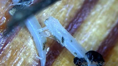 Huge Fullerene Origami Core Rod Bundle (7)