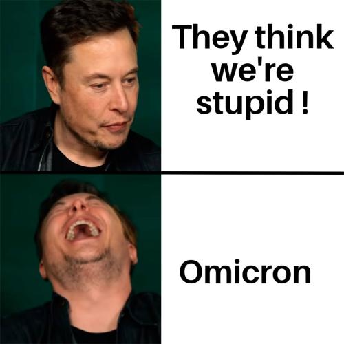 Elon Musk Laughing 28112021172849
