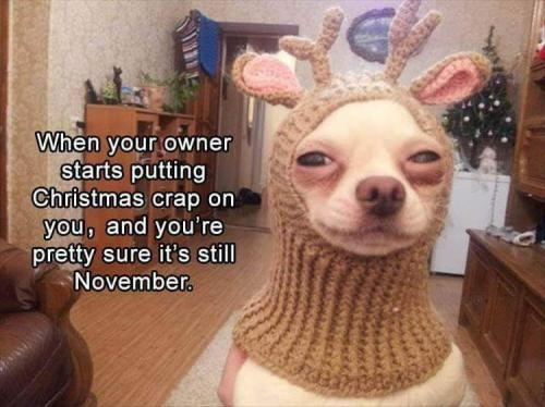 258233391_1889734564542504_6068060371003488605_n