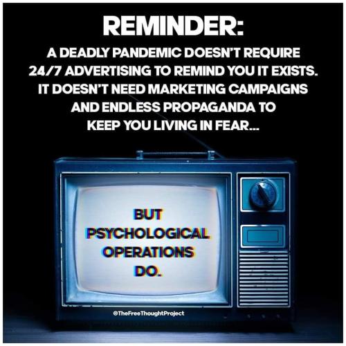 FB_IMG_1636808129799