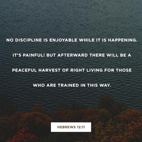 11:28:15 GMT-0800