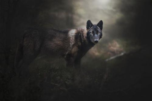 18:36:32 GMT-0600 (CST)