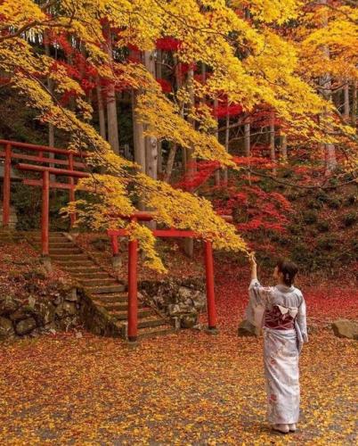 260062440_1286285198555155_749051344173228897_n