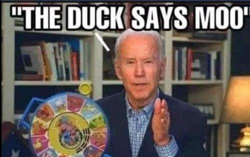 Screenshot_20211101-001802_DuckDuckGo