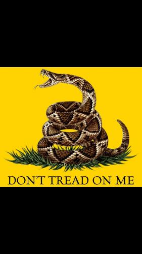 Screenshot_20211113-175631_Wimkin Uncensored