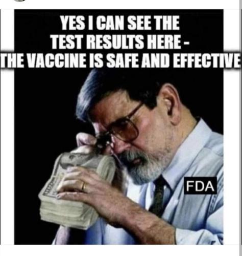 image_1637671623.717