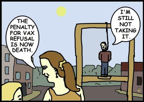 vax toon3