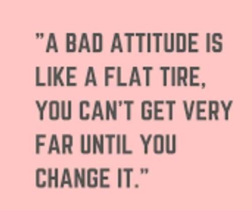 FB_IMG_1637561571905