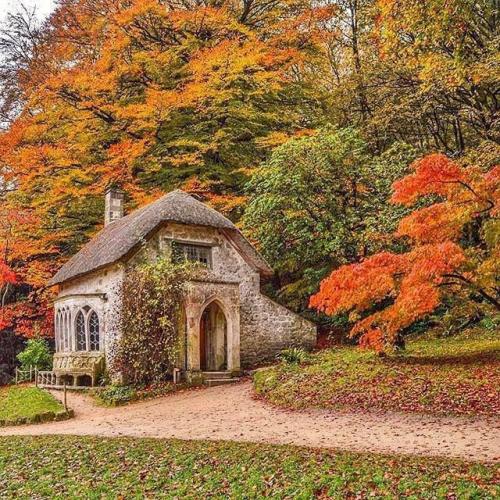 2c1c51a7f8eedc781c7a4b218ab2369a--cottage-in-chalets