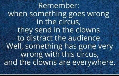 257119184_1483759942010853_2480935623514200865_n
