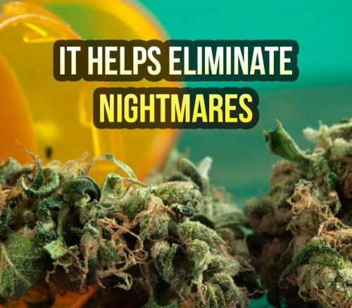 FB_IMG_1636998404331