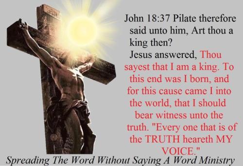 175897337_10219627823149682_4105678919716842670_n